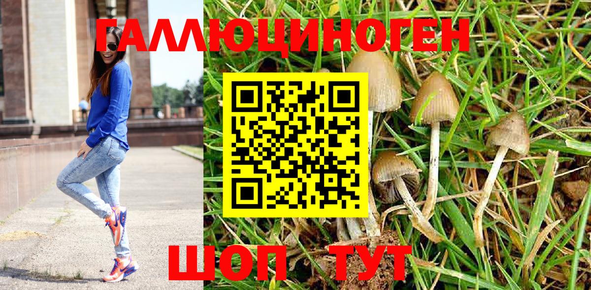 Богданович  купить наркоту  Вход с VPN  Галлюциногенные грибы Psilocybine cubensis  Псилоцибиновые грибы Psilocybine cubensis 