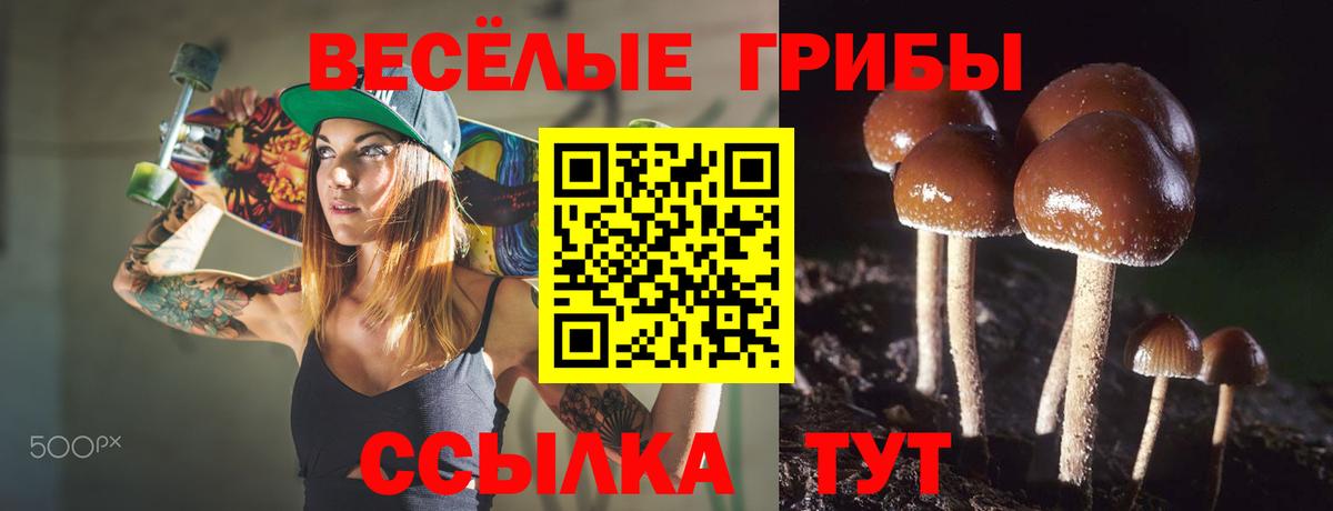Псилоцибиновые грибы Magic Shrooms Богданович